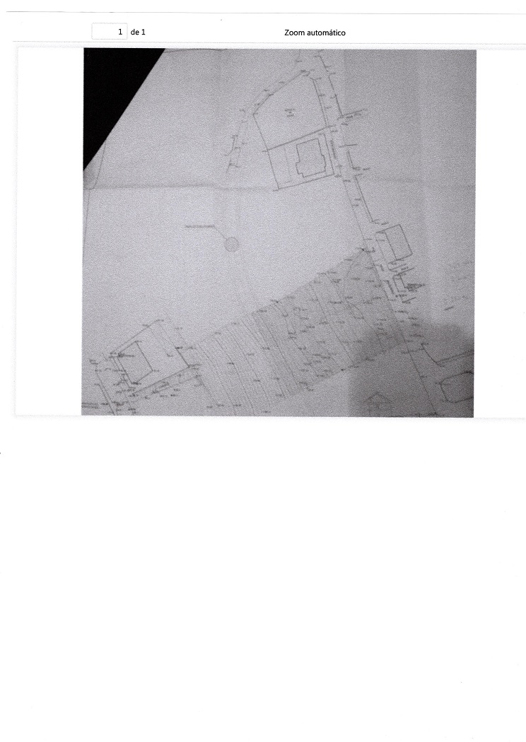20691